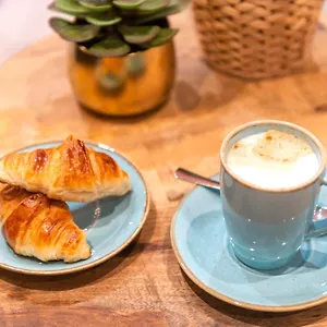 https://terre-neuve.fr-paris.fr